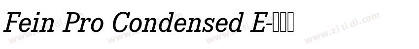 Fein Pro Condensed E字体转换